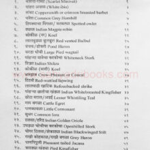 Pakshimela_I Pakshimela_I