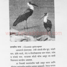 Pakshimela_Sample1 Pakshimela_Sample1