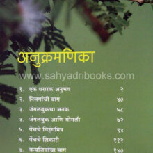 Pench-Mogali-ani-Jangalbookcha-Aranya_I Pench-Mogali-ani-Jangalbookcha-Aranya_I