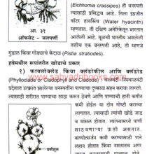 Vanaspati-RachanaShastra_Sample1