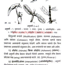 Vanaspati-RachanaShastra_Sample2