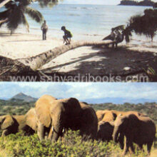 Nisargyatra Nisargyatra