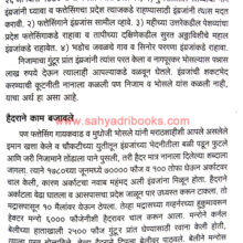 Nana-Phadanis_Sample2