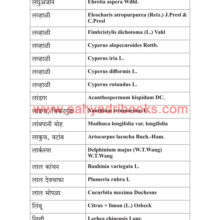 Badalatya-Punyachi-Badalati-Hirvai_Sample4