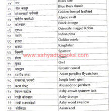 Kille-Sagargad_Sample3 Kille-Sagargad_Sample3
