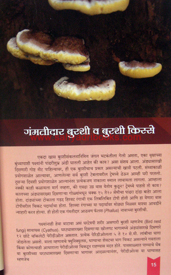 Burashi-Vaibhav_Sample Burashi-Vaibhav_Sample