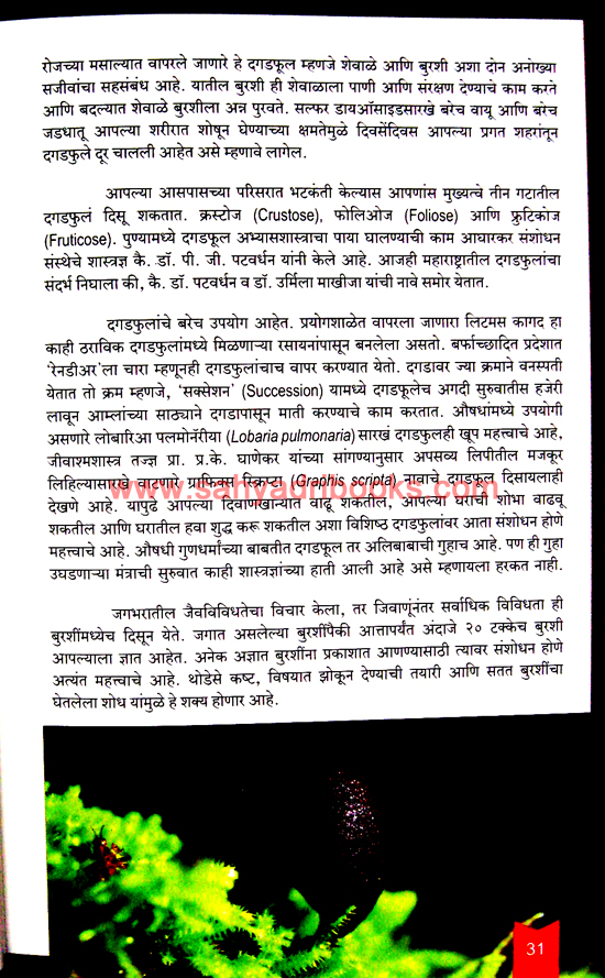 Burashi-Vaibhav_Sample1 Burashi-Vaibhav_Sample1